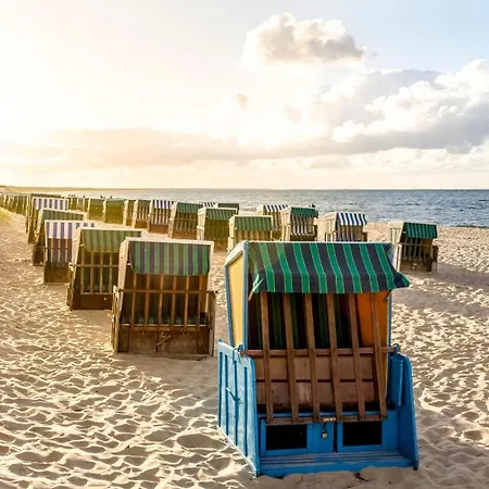 Appartement Ostseepark - Asternweg 6 11 Zinnowitz